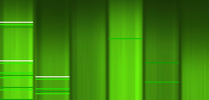 mefiblog DNS